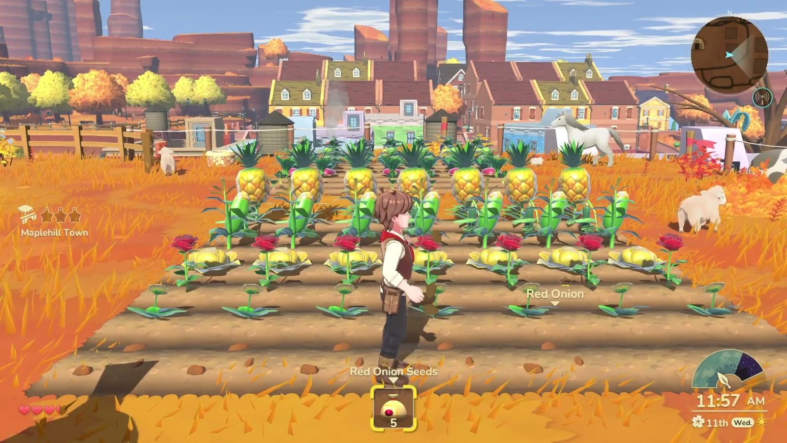 Official trailer frame: a field of red onions on the farm