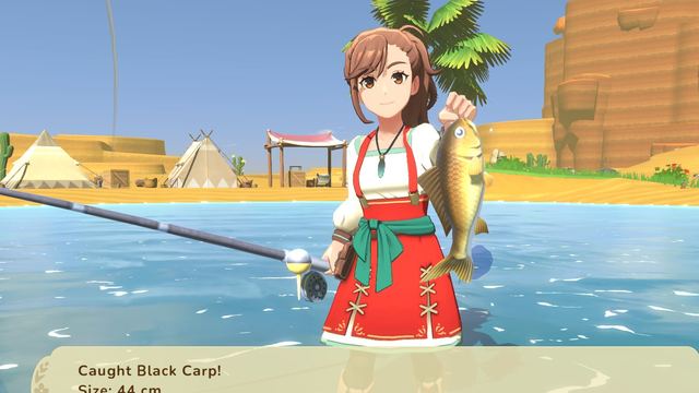 Festivals and Seasonal Events